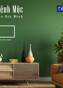 Gia chủ mệnh Mộc