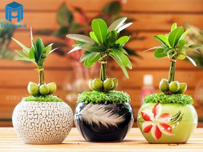 trang tri ban lam viec