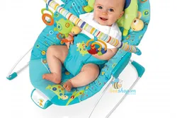 Có Nên Mua Ghế Rung Cho Trẻ Đã Biết Lẫy, Bò, Ngồi