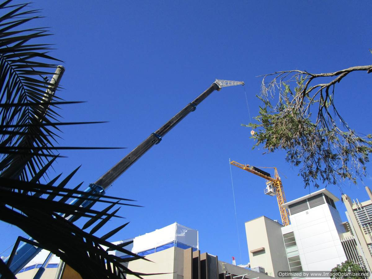 Cho thuê xe cẩu giá rẻ nhất tại Bình Dương Cho thuê xe cẩu giá rẻ nhất tại Bình Dương