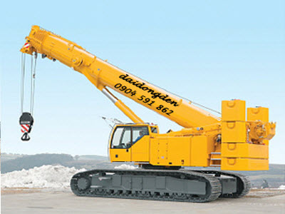 Cho thuê cẩu Bình Dương