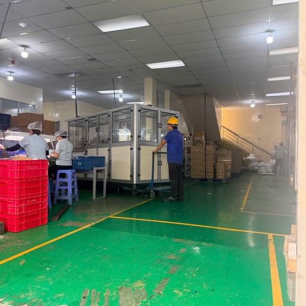 Cho thuê xe nâng khu công nghiệp Vsip 2 giá tốt