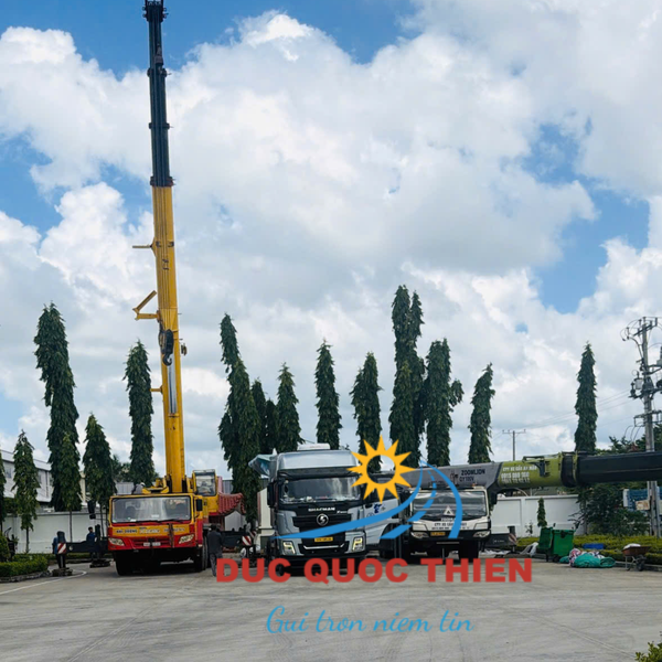 Công ty cho thuê xe cẩu xe nâng Bình Dương Đức Quốc Thiện, công ty cho thuê xe cẩu xe nâng Bình Dương