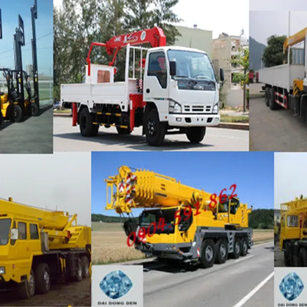 Cho thuê cẩu,nâng Đồng Nai