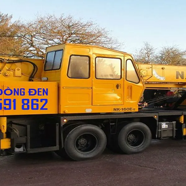 Cho thuê xe cẩu Bình Dương 247