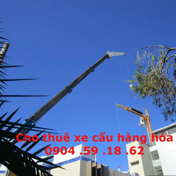 Cho thuê xe cẩu hàng hóa