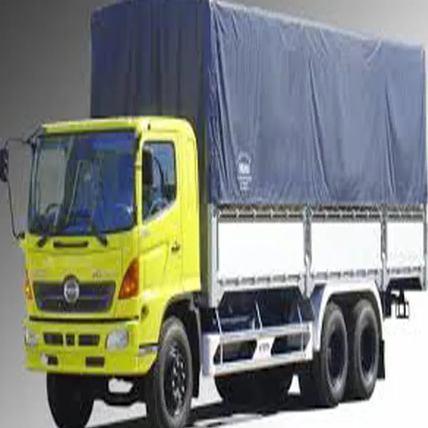 Cho thuê xe tải ở Bình Dương, Công ty cho thuê xe tải