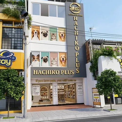 Bán Nhà 51A Trần Quốc Toản, Phường Xuân Hòa, Quận 3, TP.HCM