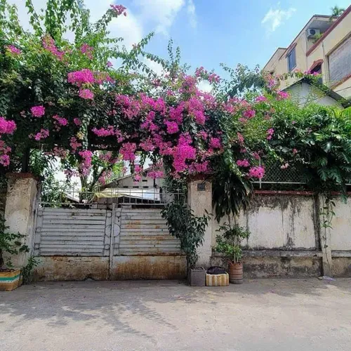 Bán nhà 38/11C Trần Khắc Chân, Phường Tân Định, Quận 1