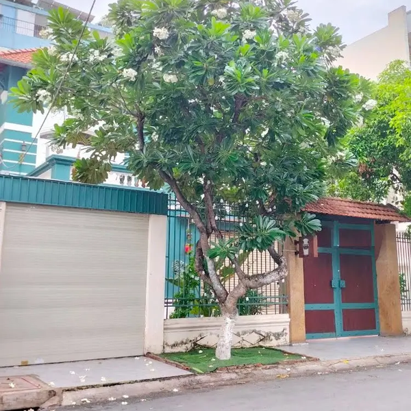 Bán Nhà Mặt Tiền 50 Ngô Bệ, Phường 13, Quận Tân Bình, TP.HCM
