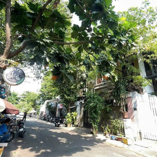 Bán Biệt Thự 10 Hoa Mai, Phường 2, Quận Phú Nhuận vị trí đẹp