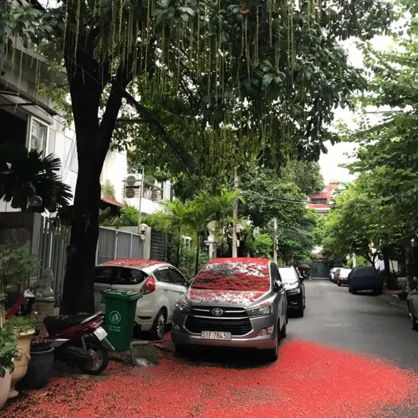 Bán Nhà 766/1B Sư Vạn Hạnh, Phường Hòa Hưng, Quận 10