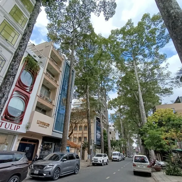 Bán Nhà 39D Sương Nguyệt Ánh, Phường Bến Thành, Quận 1