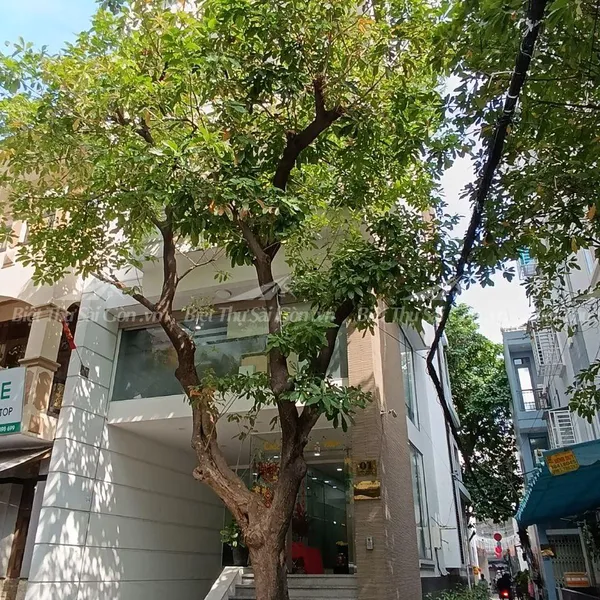 Bán nhà 1 Hoa Cau , Phường 7 , Quận Phú Nhuận , Hồ Chí Minh
