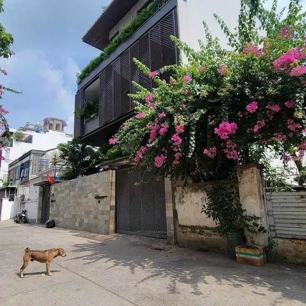 Bán nhà 38/11C Trần Khắc Chân, Phường Tân Định, Quận 1