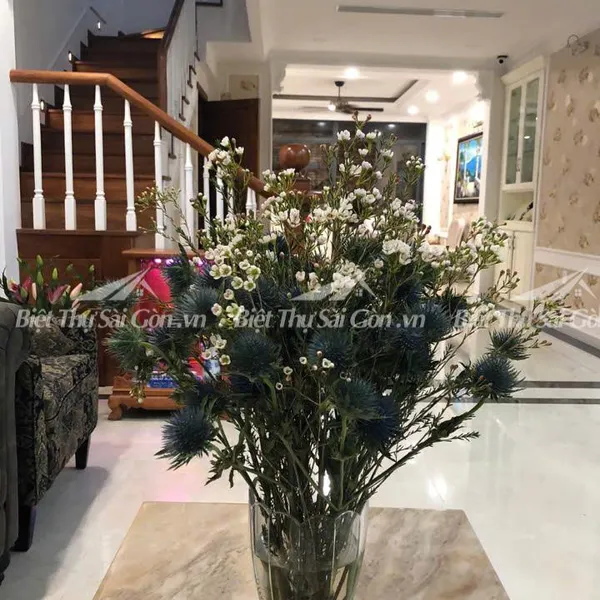 Bán Biệt Thự 1/25 Huỳnh Lan Khanh, Phường 2, Quận Tân Bình, Hồ Chí Minh