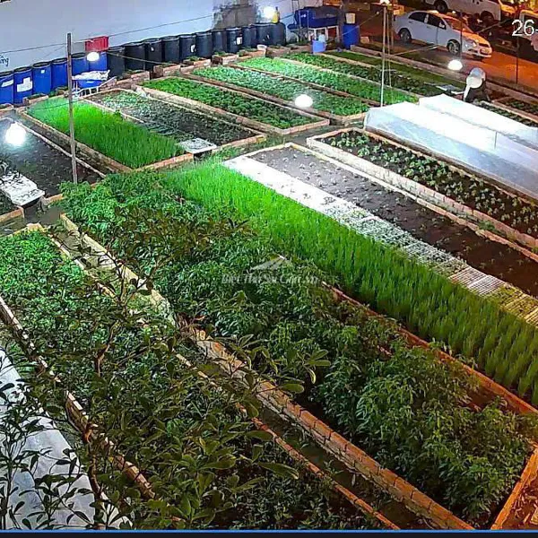 Bán Đất 401/13 Bình Lợi, Phường 13, Quận Bình Thạnh, Hồ Chí Minh