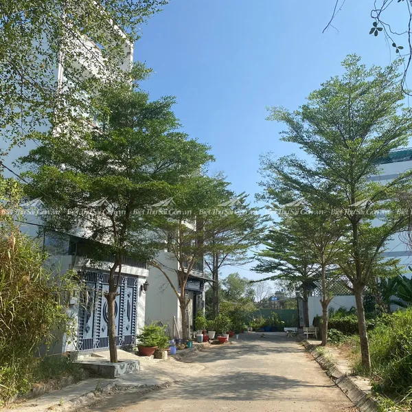 Bán Đất Hẻm 1651 Lê Văn Lương, Xã Nhơn Đức , Huyện Nhà Bè, Hồ Chí Minh
