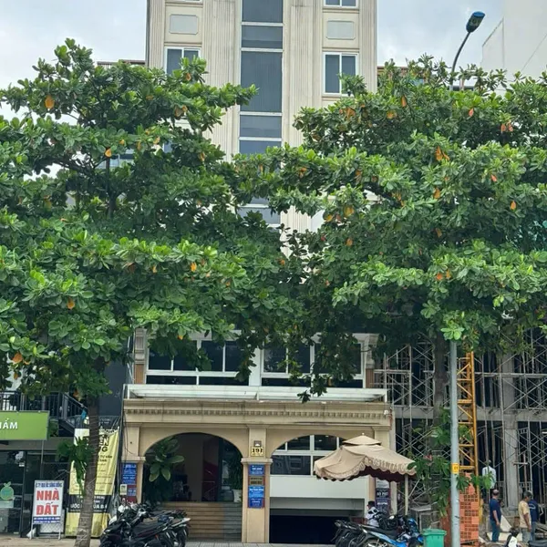 Bán Toà Nhà 191 Trương Văn Bang, P. Thạnh Mỹ Lợi, Quận 2, TP Thủ Đức