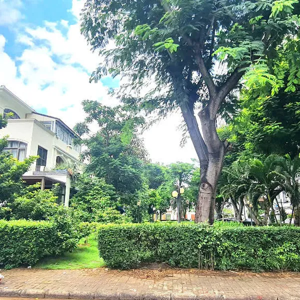 Biệt Thự B1-39 Mỹ Thái 2, Phú Mỹ Hưng, Phường Tân Mỹ, Quận 7, TPHCM