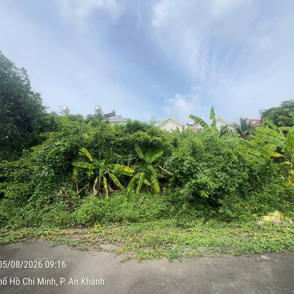 Bán Đất Biệt Thự đường Trần Bạch Đằng, Khu đô thị mới Thủ Thiêm, Quận 2, TP.HCM