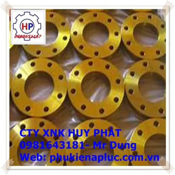 Mặt bích DN15 ( phi21)|
