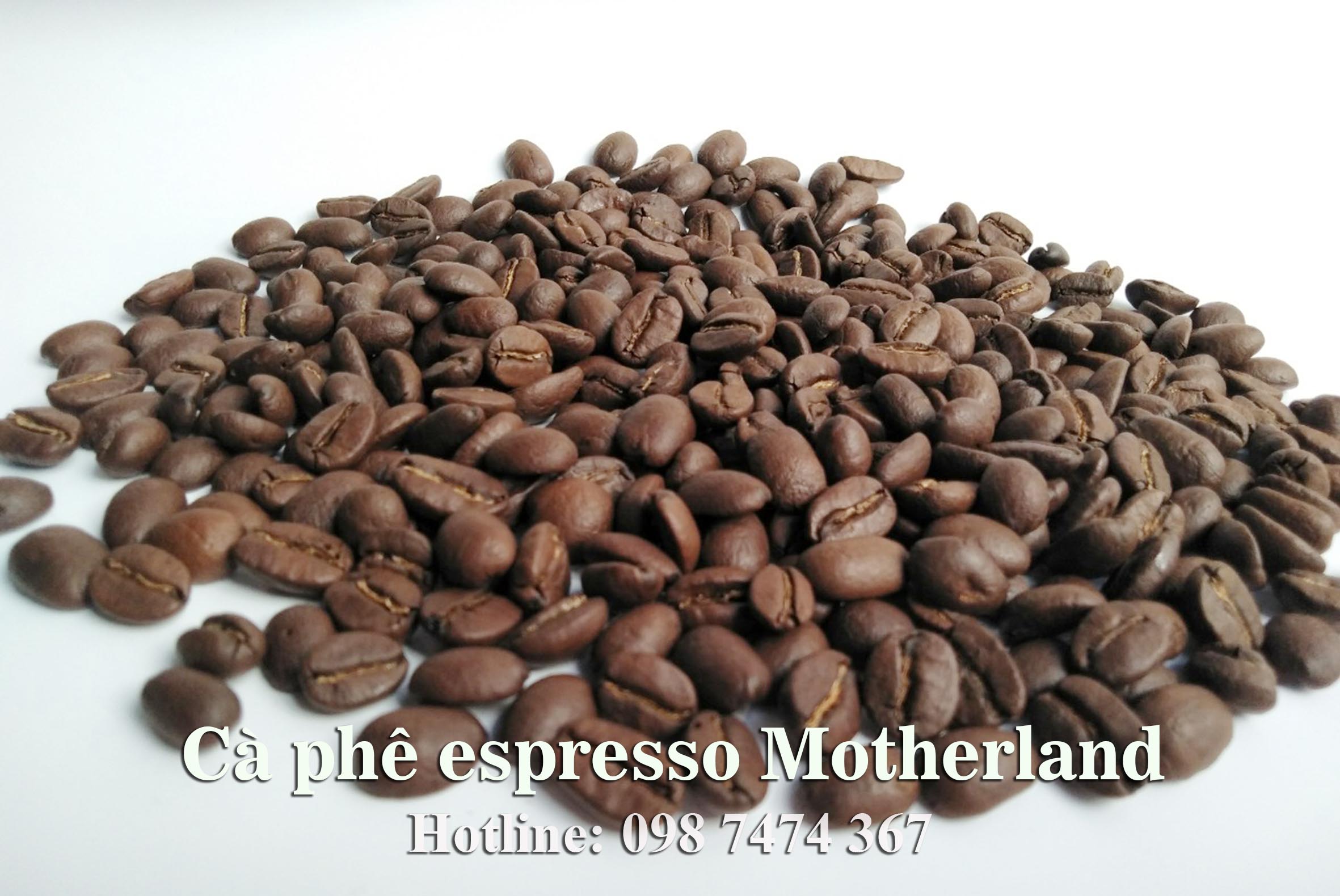 cà phê arabica cầu đất và robusta natural hạt đẹp sàn 16 giá sỉ cà phê arabica cầu đất và robusta natural hạt đẹp sàn 16 giá sỉ
