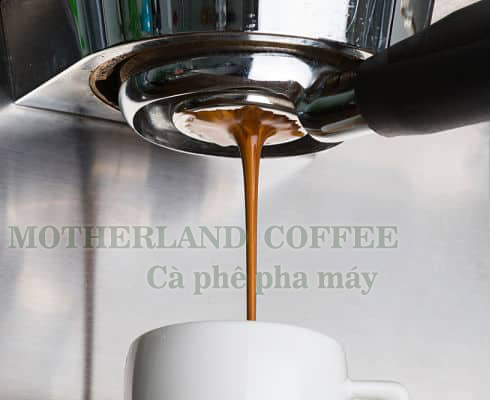 cà phê espresso motherland hạt pha máy gói 500g bmt cà phê espresso motherland hạt pha máy gói 500g bmt
