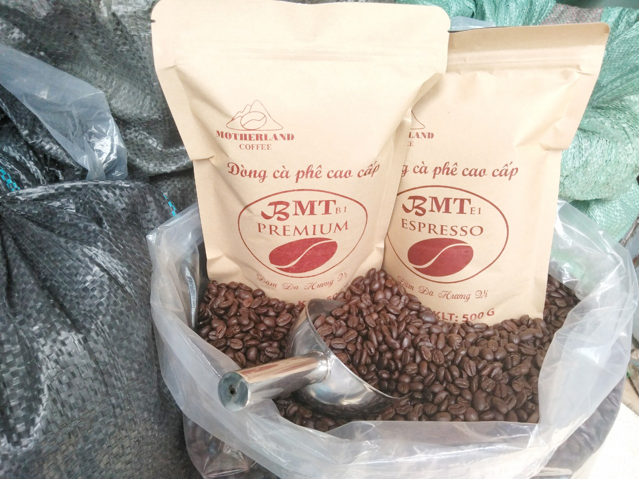 cà phê hạt robusta và arabica motherland loại 1 sàn 18 giá sỉ cà phê hạt robusta và arabica motherland loại 1 sàn 18 giá sỉ