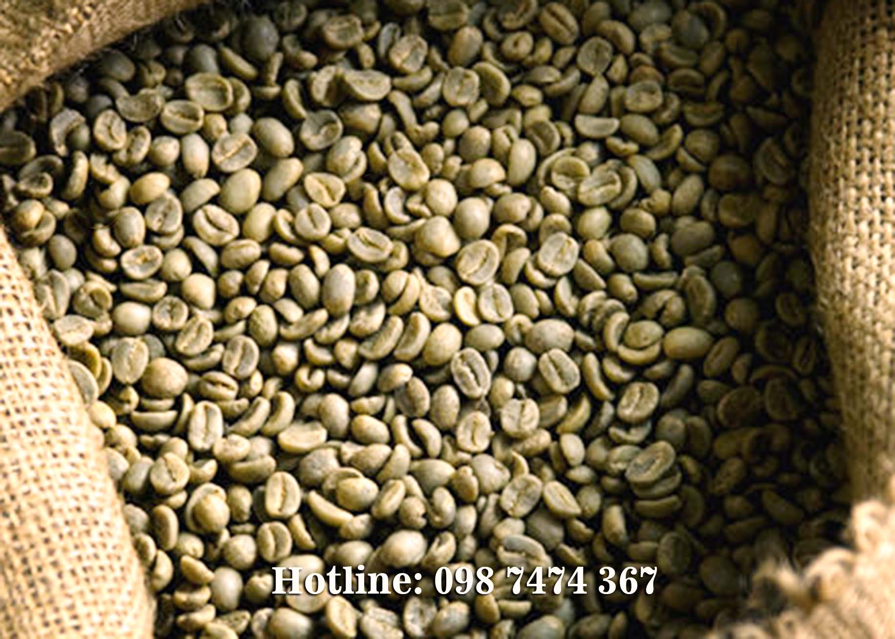 cà phê nhân robusta arabica cầu đất chế biến ướt giá sỉ cà phê nhân robusta arabica cầu đất chế biến ướt giá sỉ
