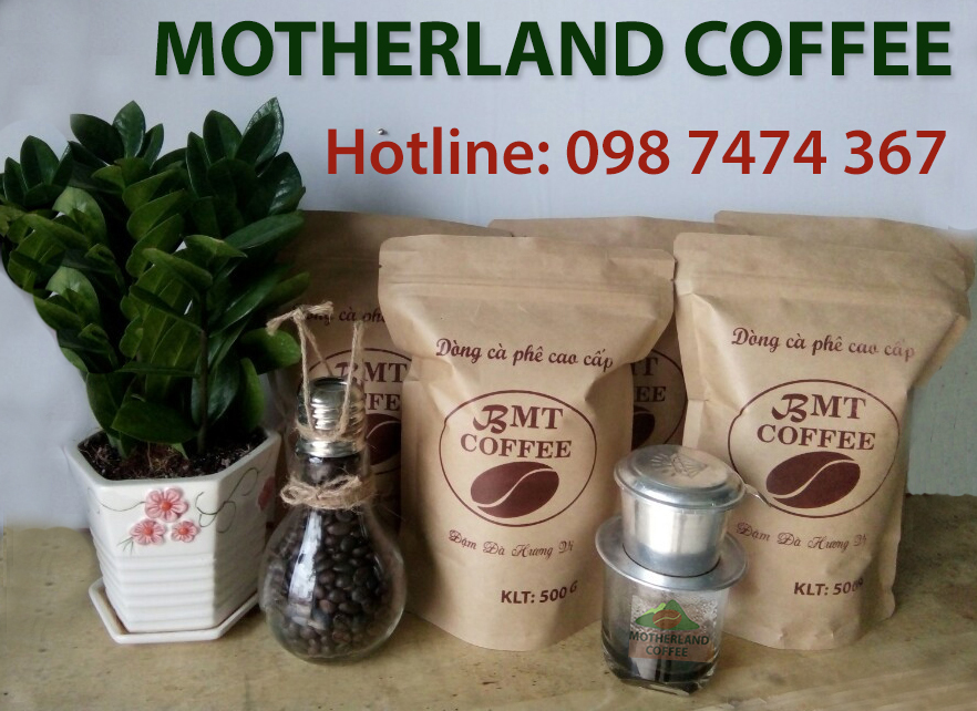 cà phê rang mộc giá sĩ motherland cafe cà phê rang mộc giá sĩ motherland cafe