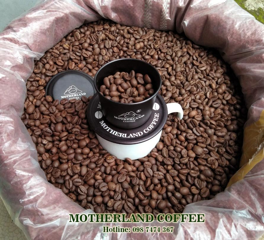 cà phê robusta honey mật ong chế biến ướt giá sỉ cho quán sàn 18 cà phê robusta honey mật ong chế biến ướt giá sỉ cho quán sàn 18