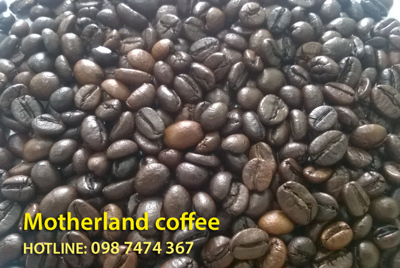 cafe mix bơ giá bao nhiêu - motherland coffee cafe mix bơ giá bao nhiêu - motherland coffee