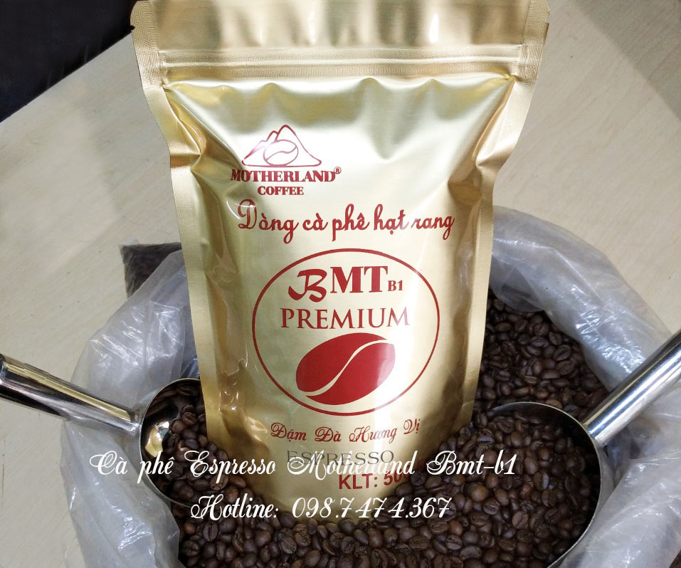 cung cấp mua bán cà phê hạt giá sỉ espresso Motherland cung cấp mua bán cà phê hạt giá sỉ espresso Motherland