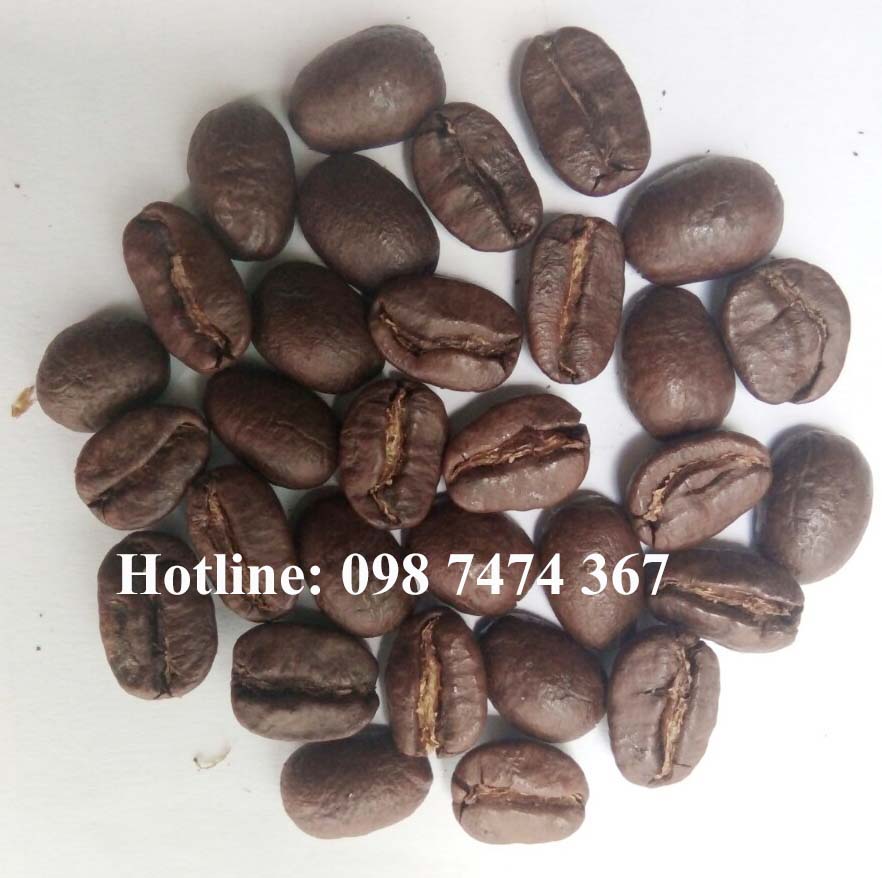 cung cấp mua bán cà phê nguyên chất moka cầu đất cung cấp mua bán cà phê nguyên chất moka cầu đất
