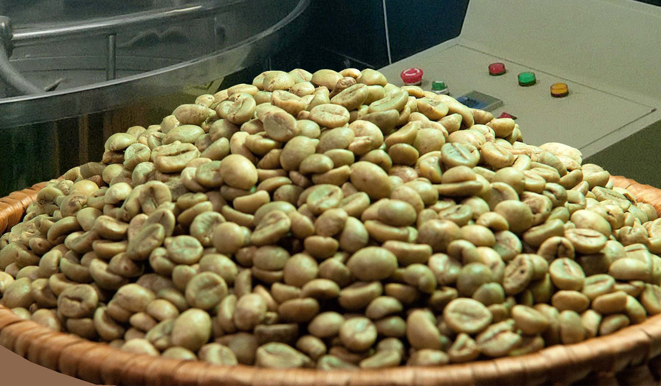 1 thúng cà phê robusta đánh bóng - dịch vụ rang gia công cafe 1 thúng cà phê robusta đánh bóng - dịch vụ rang gia công cafe