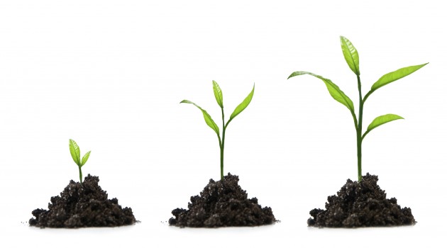 sự phát triển của công ty sự phát triển của công ty