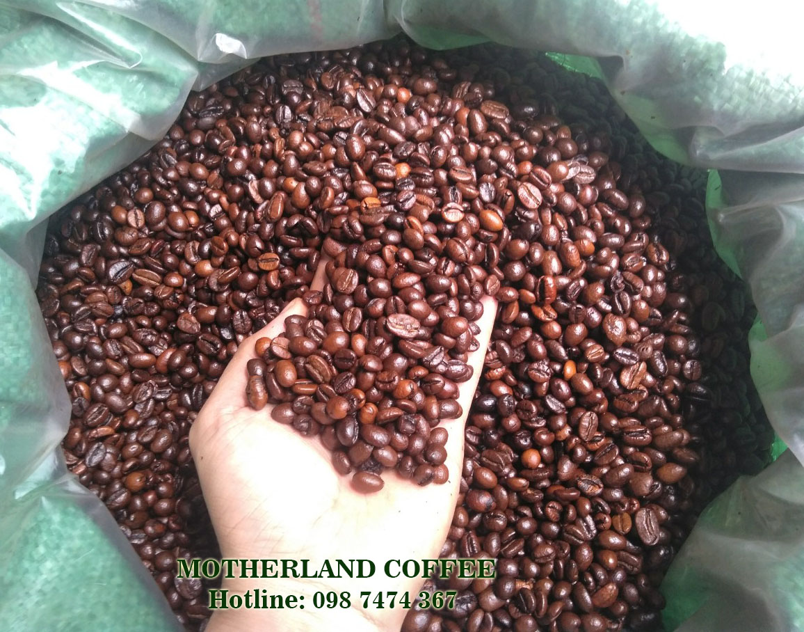 dòng cà phê hạt robusta rang bơ giá sỉ cho quán và đại lý dòng cà phê hạt robusta rang bơ giá sỉ cho quán và đại lý