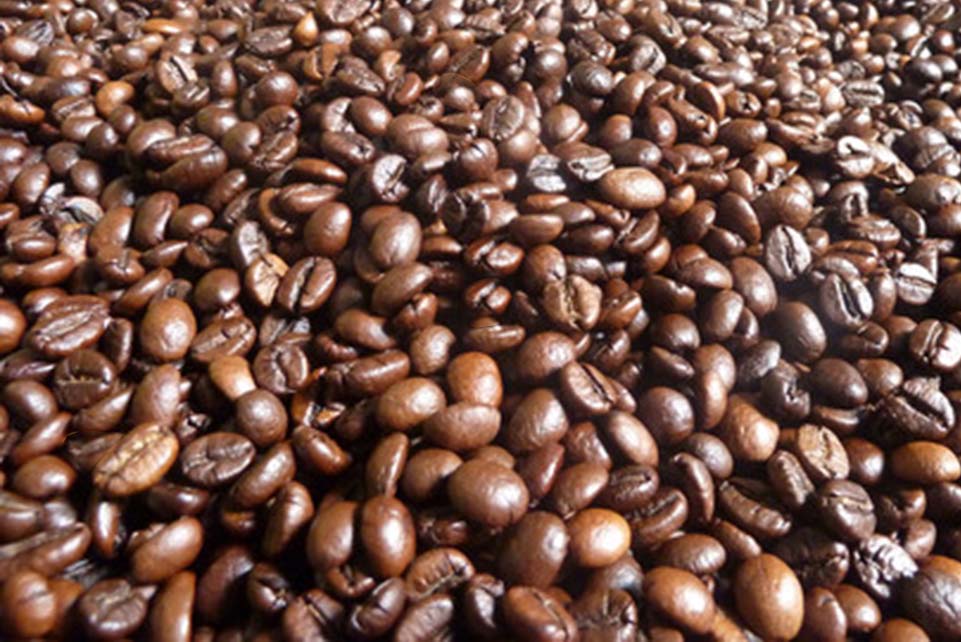 dòng cà phê hạt robusta rang bơ giá sỉ cho quán và đại lý dòng cà phê hạt robusta rang bơ giá sỉ cho quán và đại lý