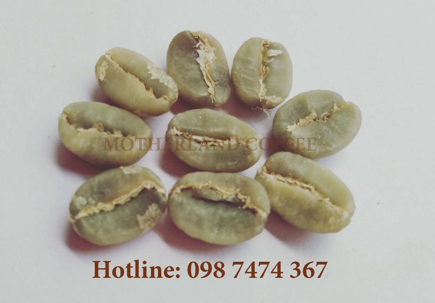 hạt cà phê arabica nhân