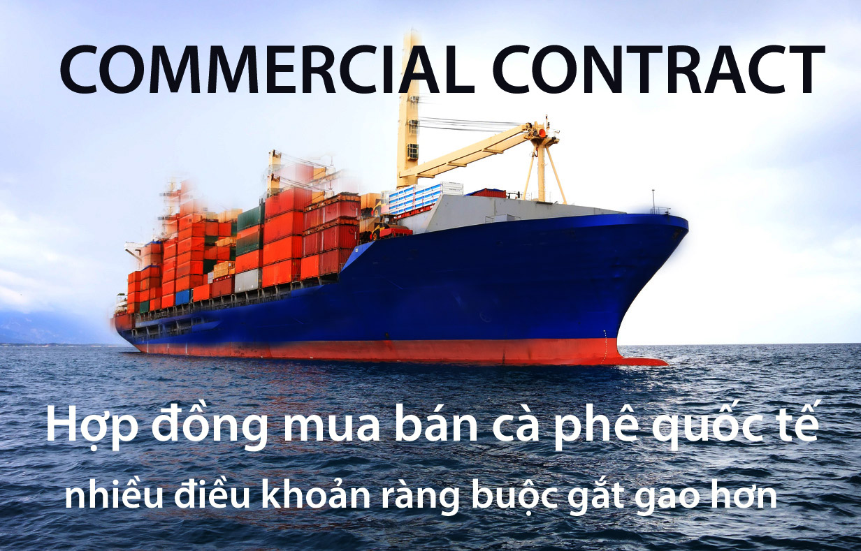 hợp đồng mua bán cà phê quốc tế nhiều yêu cầu gắt gao hơn hợp đồng mua bán cà phê quốc tế nhiều yêu cầu gắt gao hơn