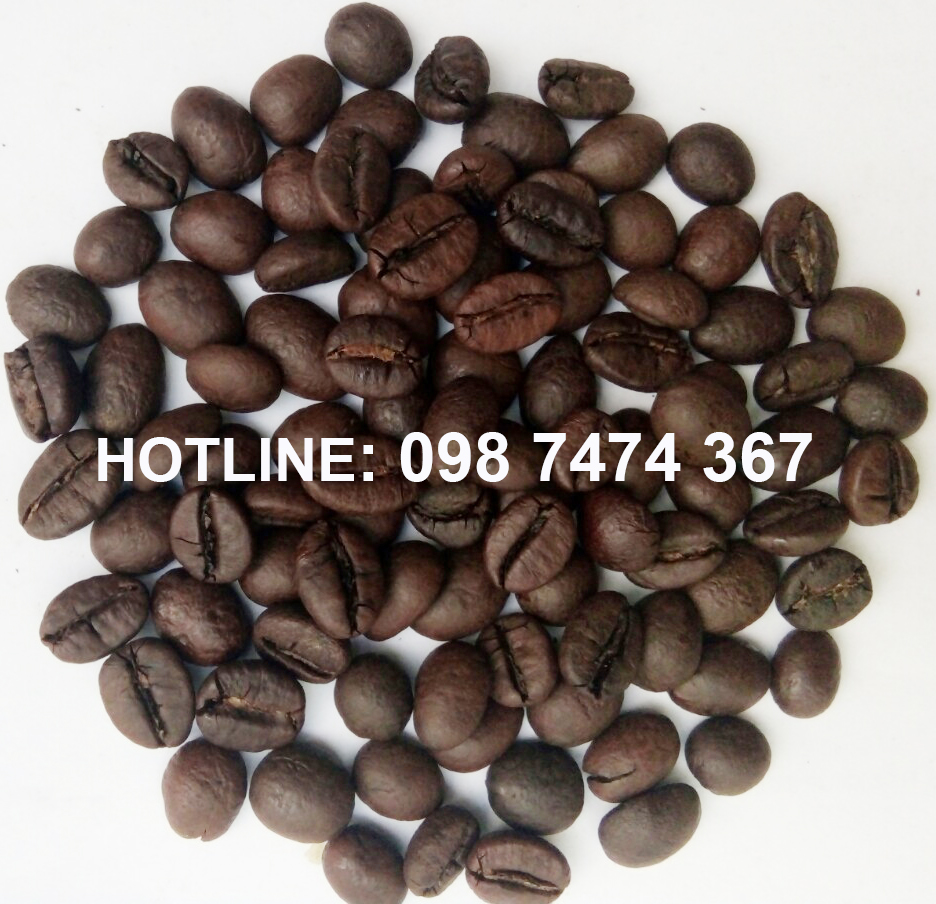 cà phê robusta cà phê robusta