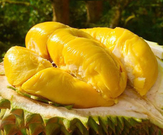 nhũng loại thực phẩm không nên ăn khi uống cà phê nhũng loại thực phẩm không nên ăn khi uống cà phê