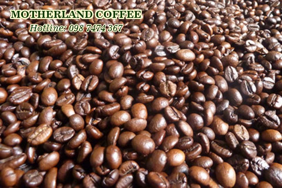 rang gia công cà phê nhân robusta giá rẻ rang gia công cà phê nhân robusta giá rẻ