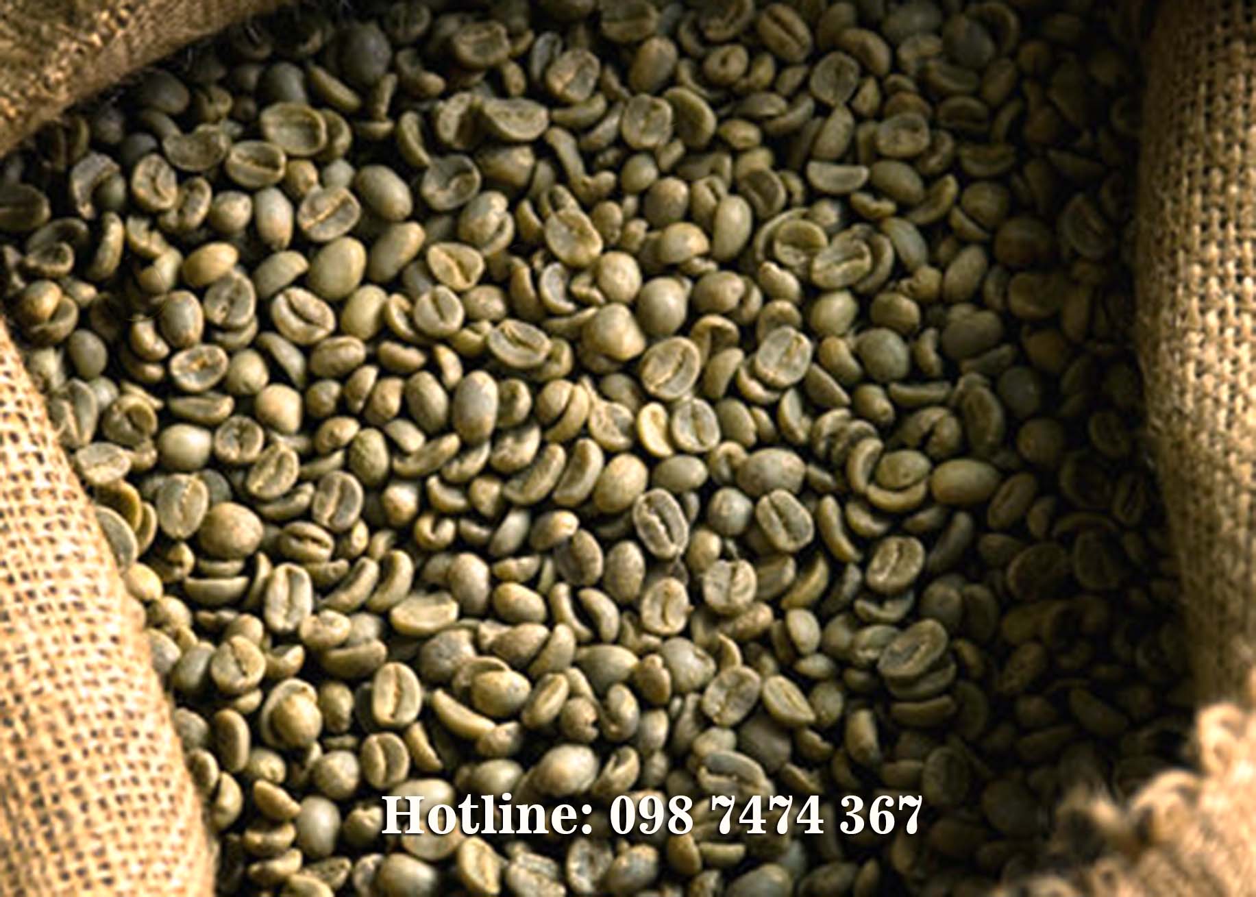 nhận rang gia công cà phê nhân robusta giá rẻ nhận rang gia công cà phê nhân robusta giá rẻ