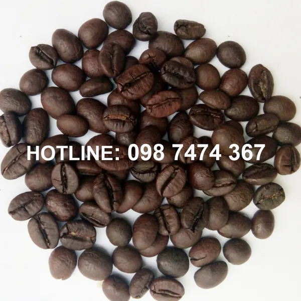 CÀ PHÊ ROBUSTA RANG MỘC