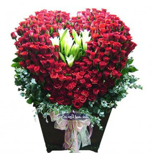 Hoa Lễ Tình Yêu Bình Dương 17