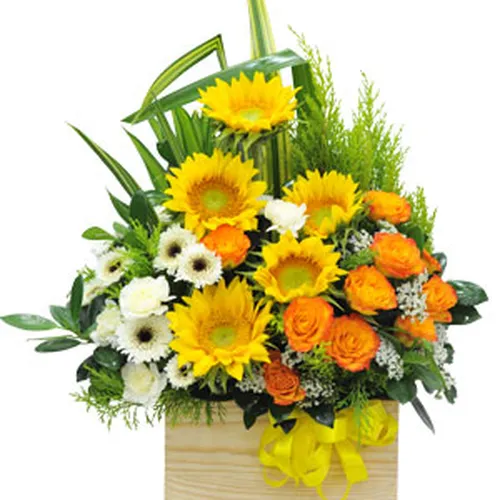 Hoa Lễ Tình Yêu Bình Dương 50