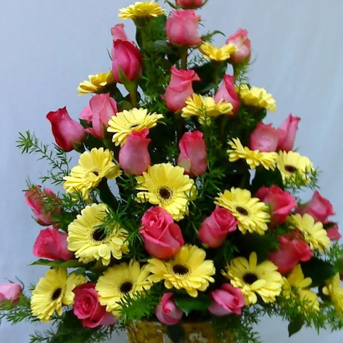 Hoa Tươi Ngày Của Cha 09