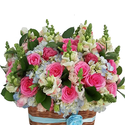 Hoa Tươi Ngày Nhà Báo 13